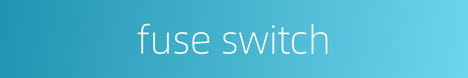 fuse switch的同义词