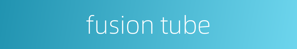 fusion tube的同义词