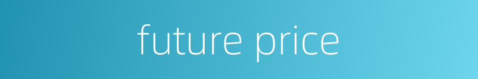 future price的同义词