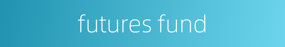 futures fund的同义词