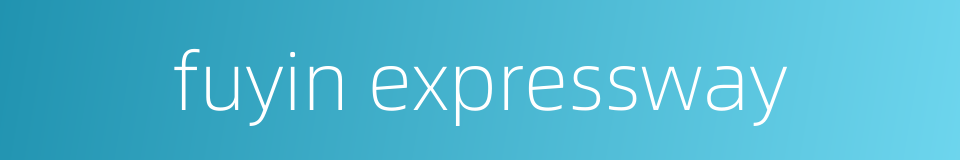 fuyin expressway的同义词