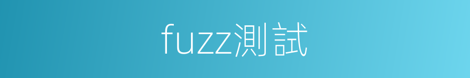 fuzz測試的同義詞