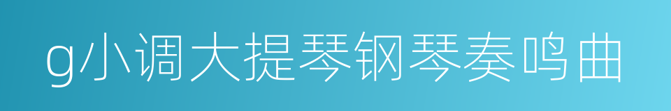 g小调大提琴钢琴奏鸣曲的同义词