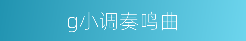g小调奏鸣曲的同义词