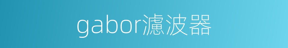 gabor濾波器的同義詞