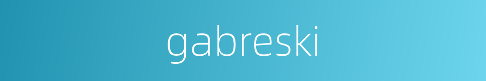 gabreski的同义词