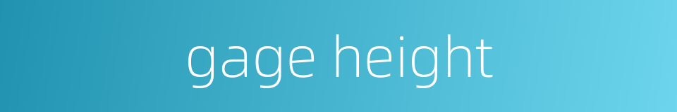 gage height的同义词