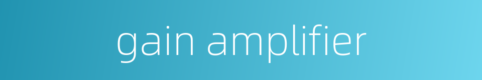 gain amplifier的同义词