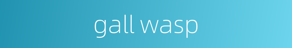 gall wasp的同义词