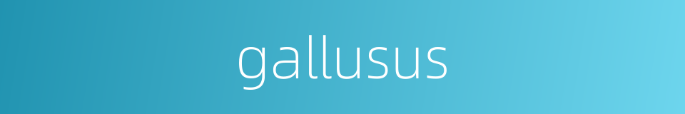 gallusus的同义词