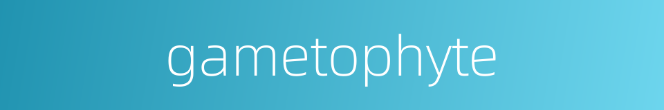 gametophyte的同义词