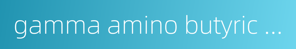 gamma amino butyric acid的同义词
