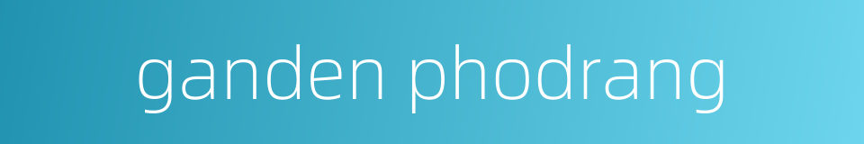 ganden phodrang的同义词