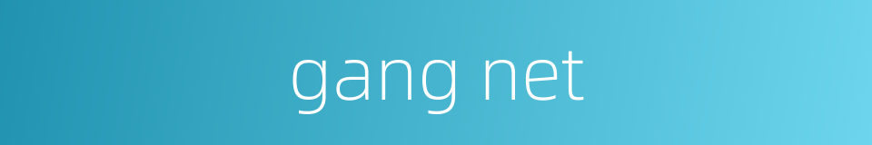 gang net的同义词
