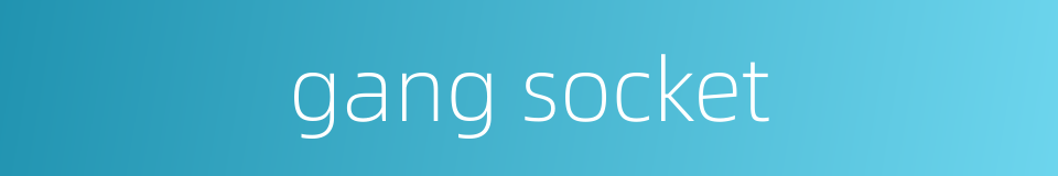 gang socket的同义词