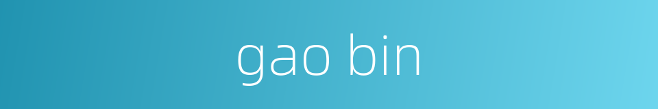 gao bin的同义词