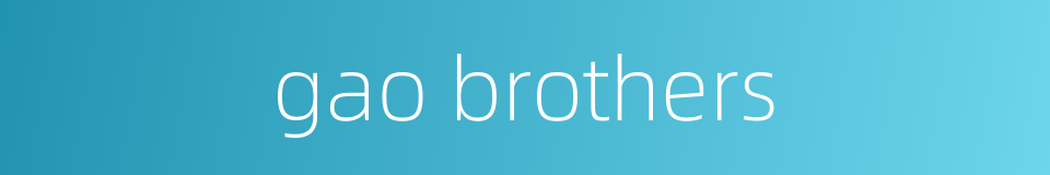 gao brothers的同义词
