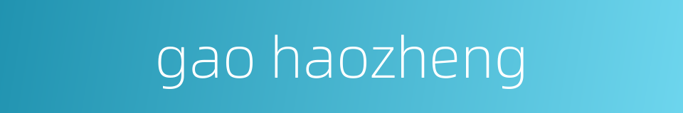 gao haozheng的同义词