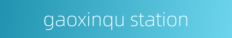 gaoxinqu station的同义词