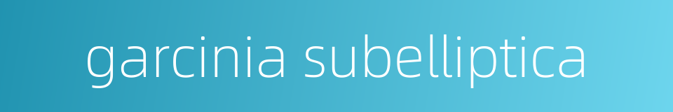 garcinia subelliptica的同义词