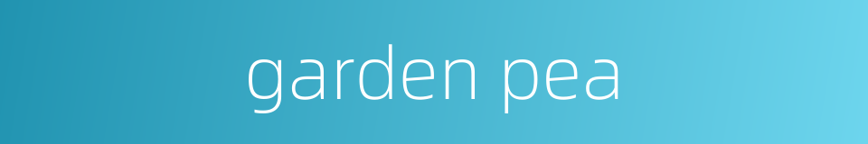 garden pea的同义词