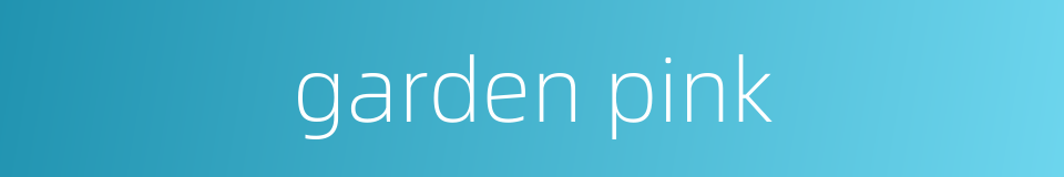 garden pink的同义词