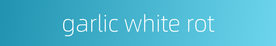 garlic white rot的同义词
