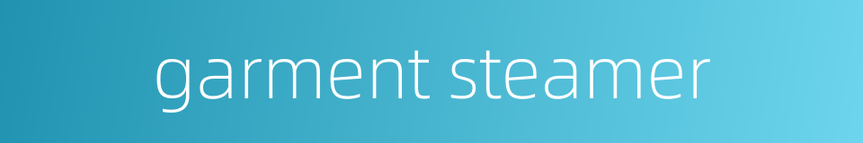 garment steamer的同义词