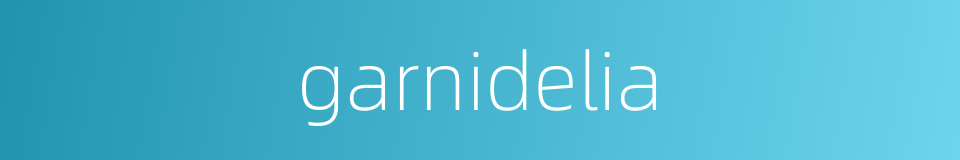 garnidelia的同义词
