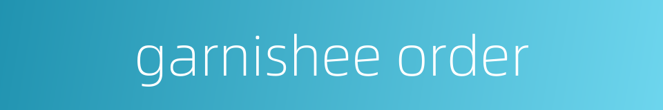 garnishee order的同义词