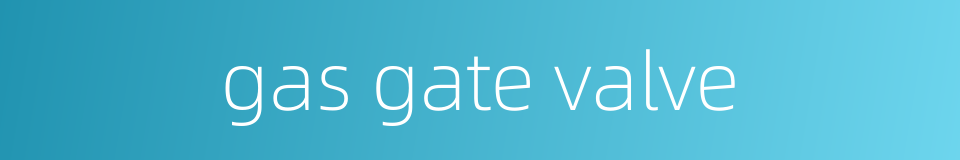 gas gate valve的同义词