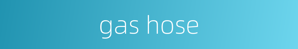 gas hose的同义词