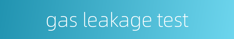 gas leakage test的同义词