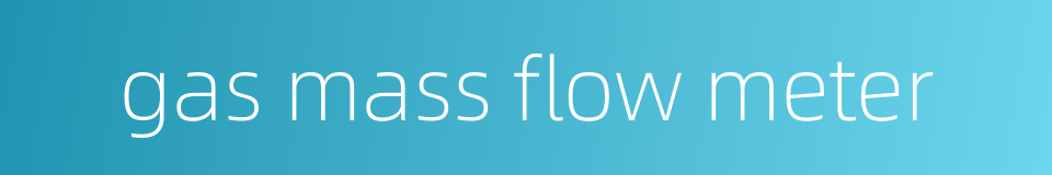 gas mass flow meter的同义词