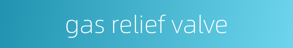 gas relief valve的同义词