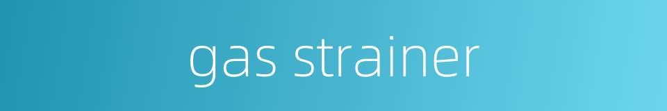 gas strainer的同义词