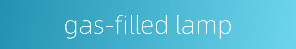 gas-filled lamp的同义词