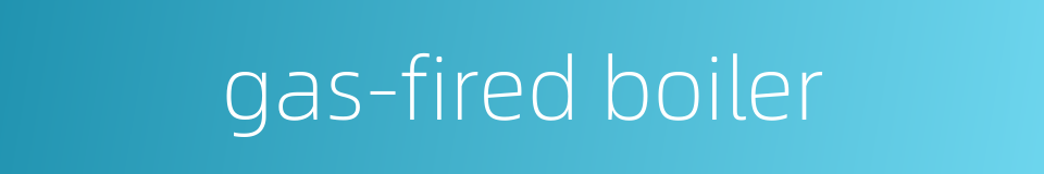 gas-fired boiler的同义词