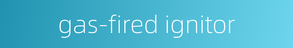 gas-fired ignitor的同义词