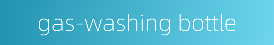 gas-washing bottle的同义词