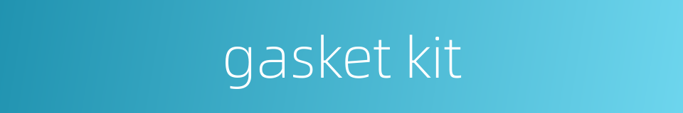 gasket kit的同义词