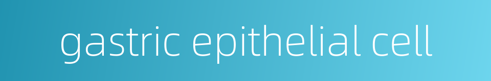 gastric epithelial cell的同义词