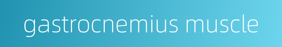 gastrocnemius muscle的同义词