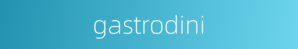 gastrodini的同义词
