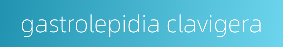 gastrolepidia clavigera的同义词