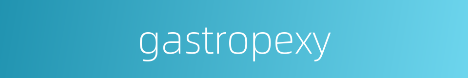 gastropexy的同义词
