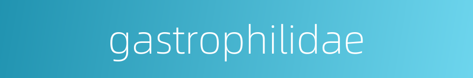 gastrophilidae的同义词