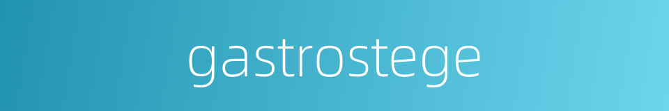 gastrostege的同义词