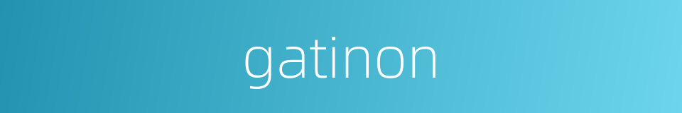 gatinon的同义词