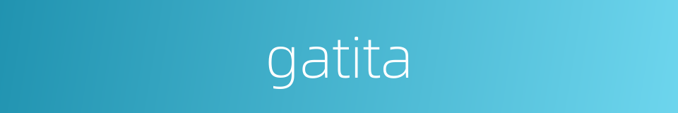 gatita的同义词